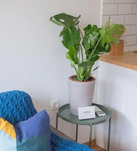 Apartma Chic Trnovo Hideaway For 5, Family Friendly *